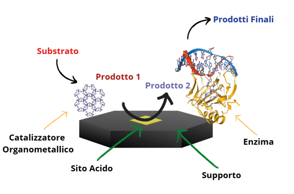 Immagine che contiene schermata, diagramma, testo, design

Il contenuto generato dall'IA potrebbe non essere corretto.
