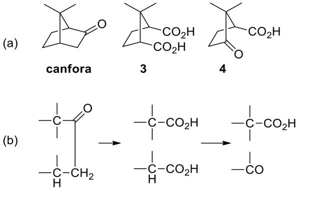 Immagine che contiene nero, oscurità

Il contenuto generato dall'IA potrebbe non essere corretto.