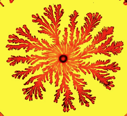 Immagine che contiene giallo, fiore

Il contenuto generato dall'IA potrebbe non essere corretto.