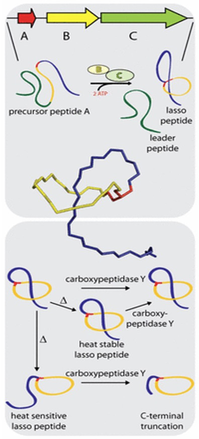 Immagine che contiene testo, diagramma, schermata, Carattere

Il contenuto generato dall'IA potrebbe non essere corretto.