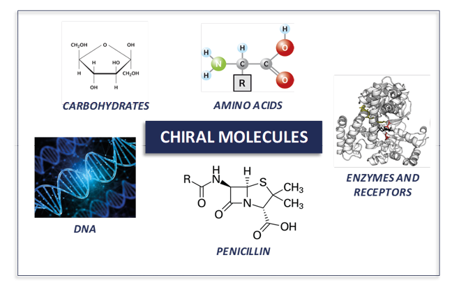 Immagine che contiene testo, schermata, grafica, Elementi grafici
Il contenuto generato dall'IA potrebbe non essere corretto.