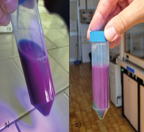 Immagine che contiene viola, violetto, schermata, persona
Il contenuto generato dall'IA potrebbe non essere corretto.
