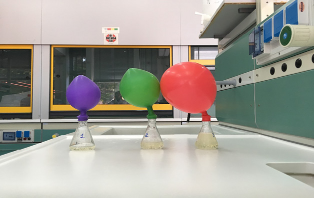 Immagine che contiene muro, pallone, interno, Articoli per feste

Il contenuto generato dall'IA potrebbe non essere corretto.